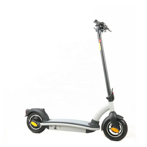 Light Weight 2 Wheel Electric Scooter 500w with Lithium Battery