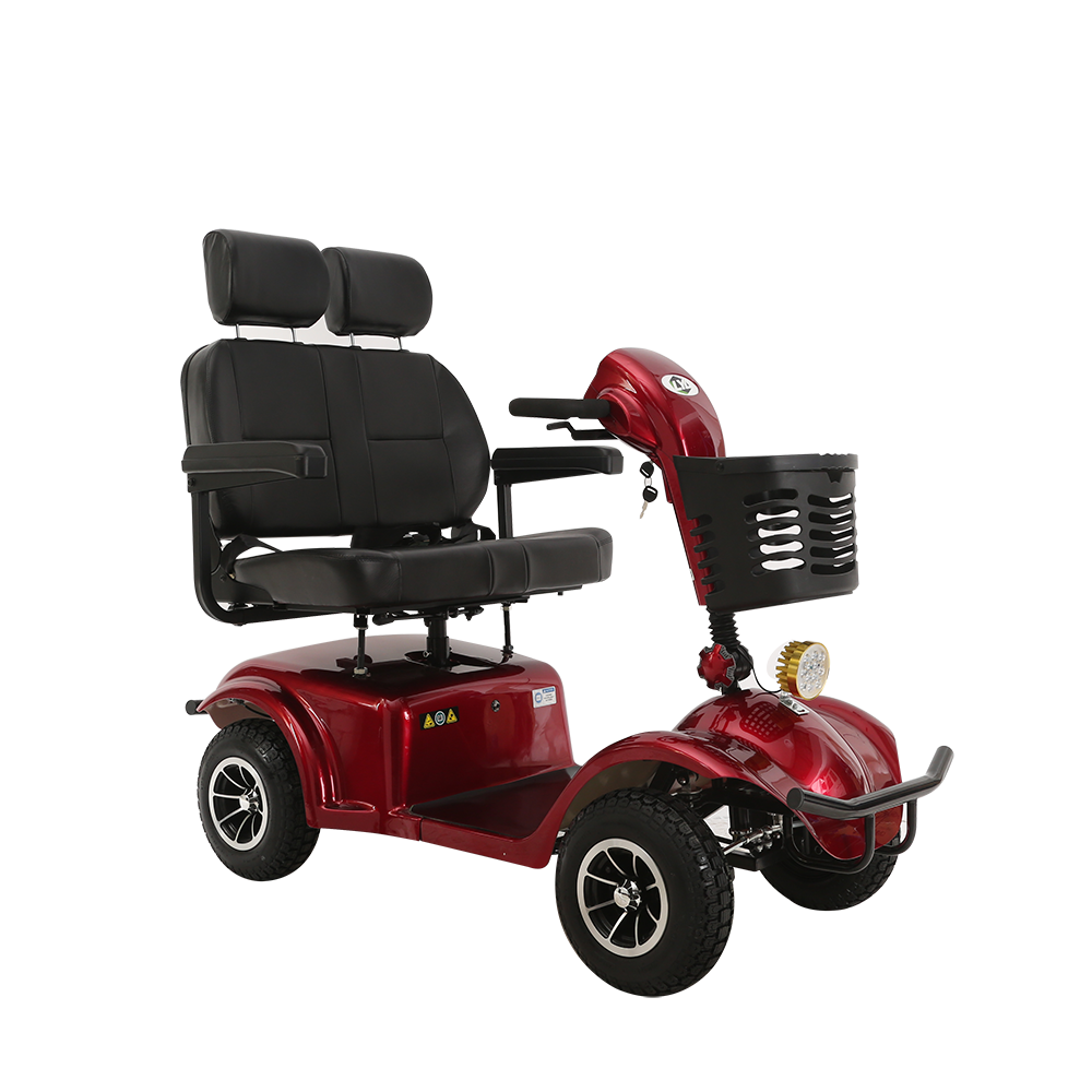 Double seat mobility scooter