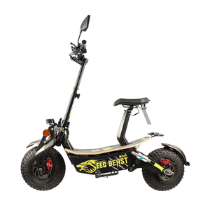 EEC COC Certificate electric scooter bike 48V 2000W self-balancing trottinette electric scooters