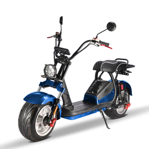 Lithium Battery Citycoco High Speed 3000W Electric Scooter Motorcycle